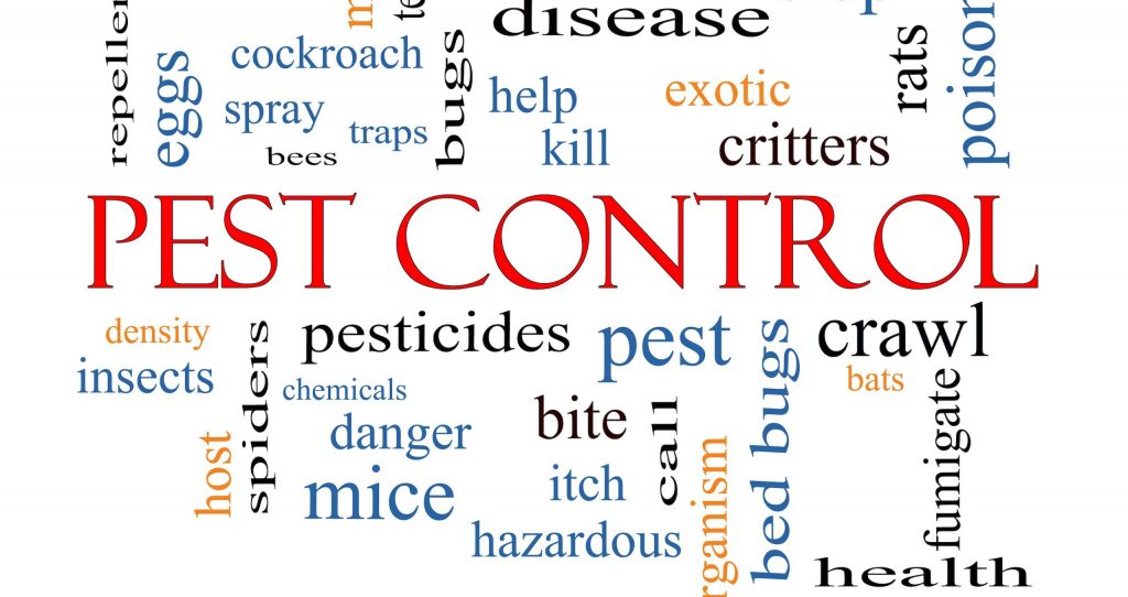 Pest control word cloud comprising of terms such as pesticides, bugs, critters etc